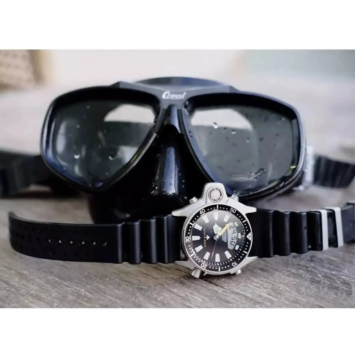 Promaster Dive Watch